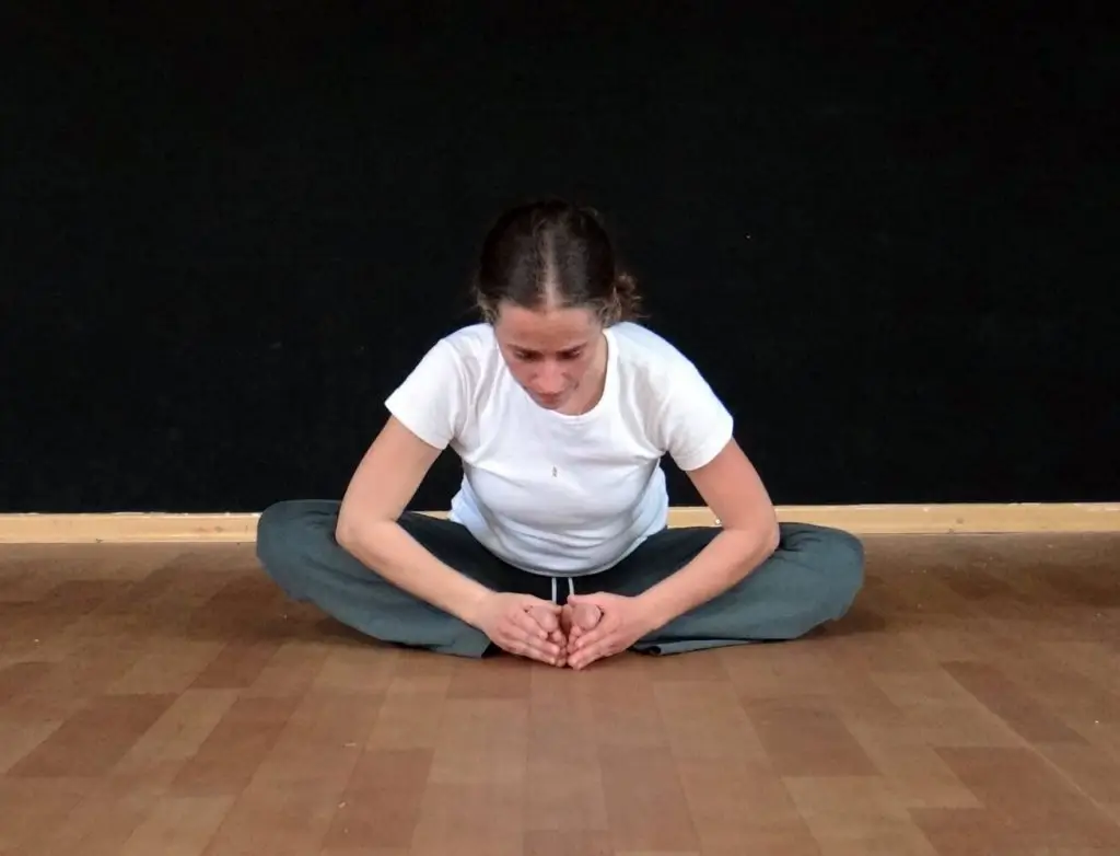 מתיחת מרידיאן הכליות