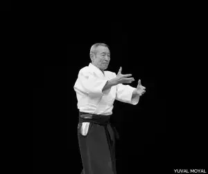 חוויות מיפן – המורה שלי – מאסטר סוגנומה