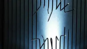 בין הגירוי לתגובה