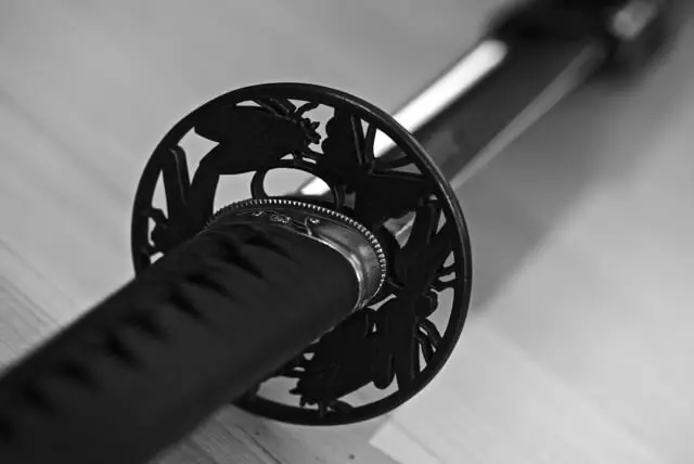 למה להתאמן בחרב כשיש רובים