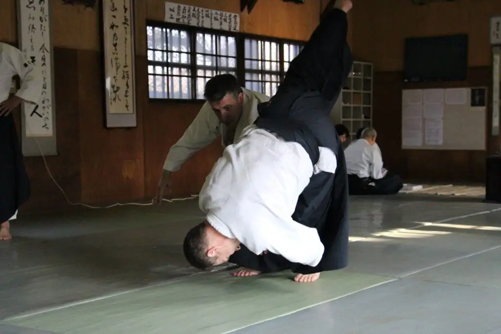 במהלך הביקור ביפן היו גם שיעורי אייקידו