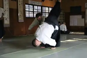 במהלך הביקור ביפן היו גם שיעורי אייקידו