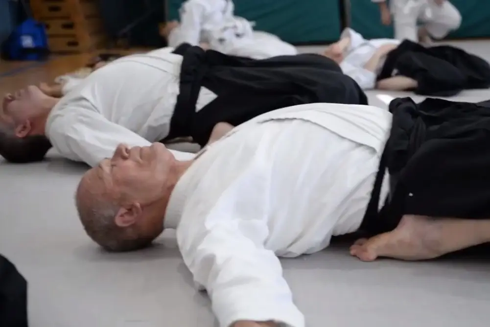 אייקידו לגיל השלישי