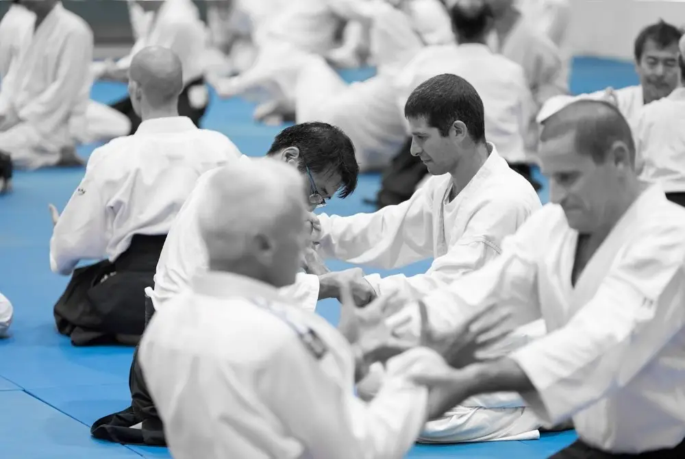 מהלך שיעור אייקידו